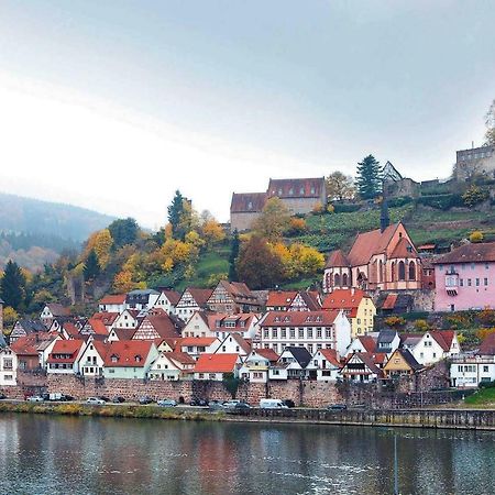Neckarblick,Natur, Altstadt ヒルシュホルン エクステリア 写真