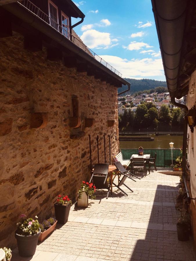 Neckarblick,Natur, Altstadt ヒルシュホルン エクステリア 写真