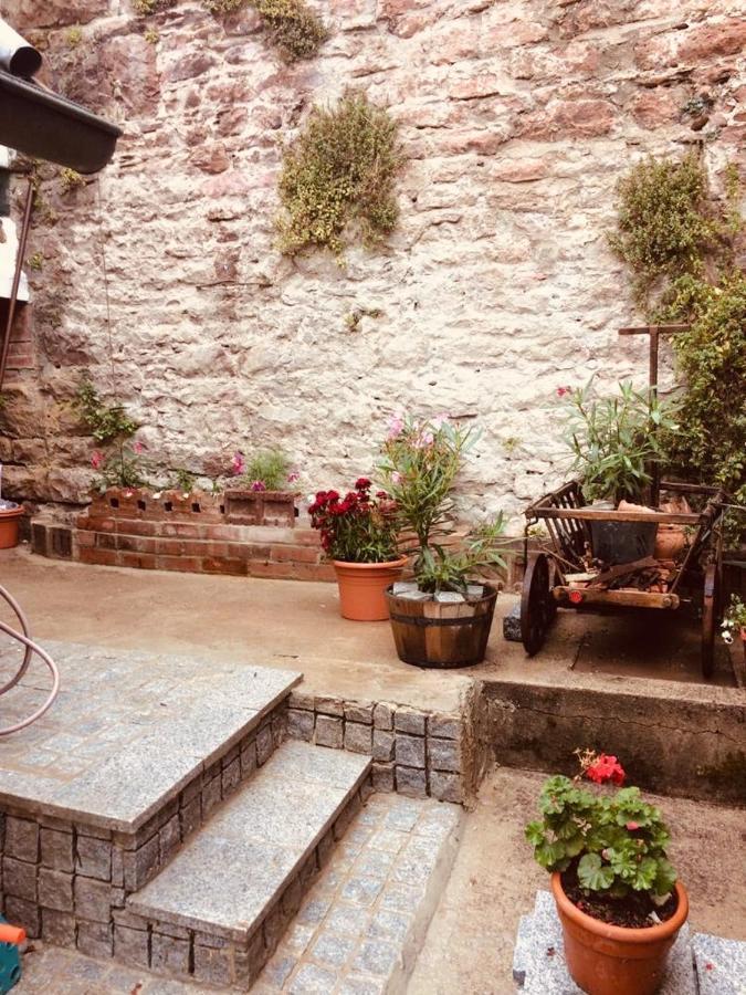 Neckarblick,Natur, Altstadt ヒルシュホルン エクステリア 写真
