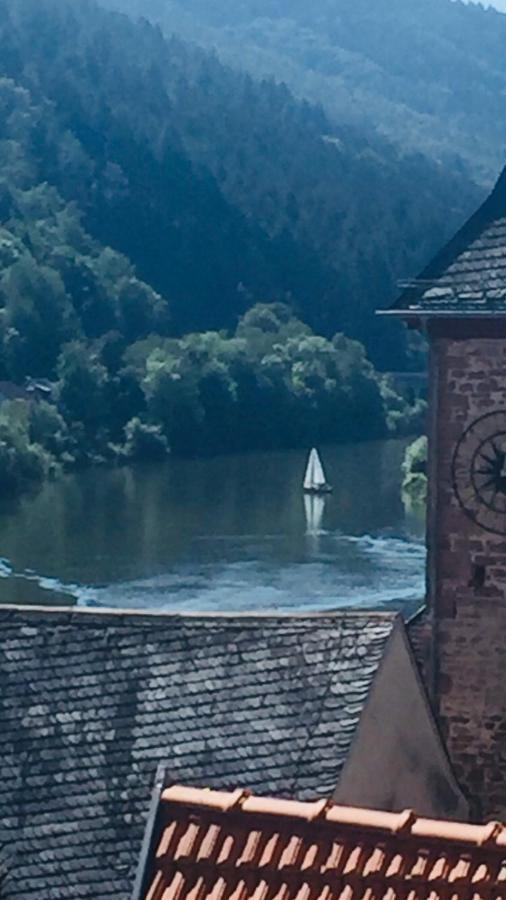 Neckarblick,Natur, Altstadt ヒルシュホルン エクステリア 写真