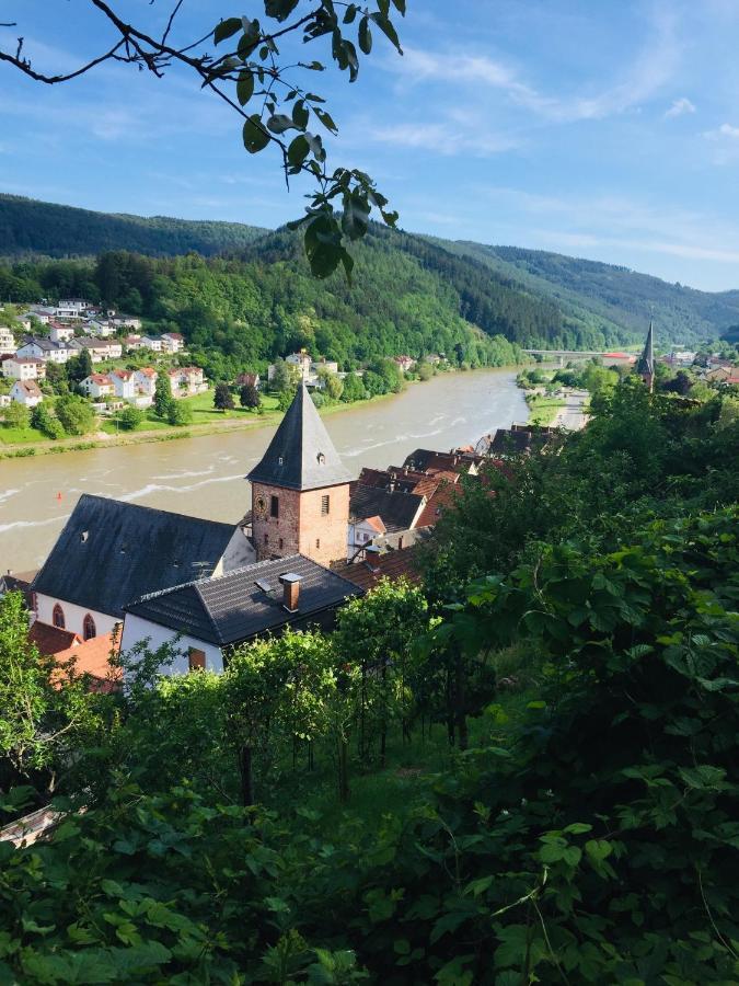 Neckarblick,Natur, Altstadt ヒルシュホルン エクステリア 写真