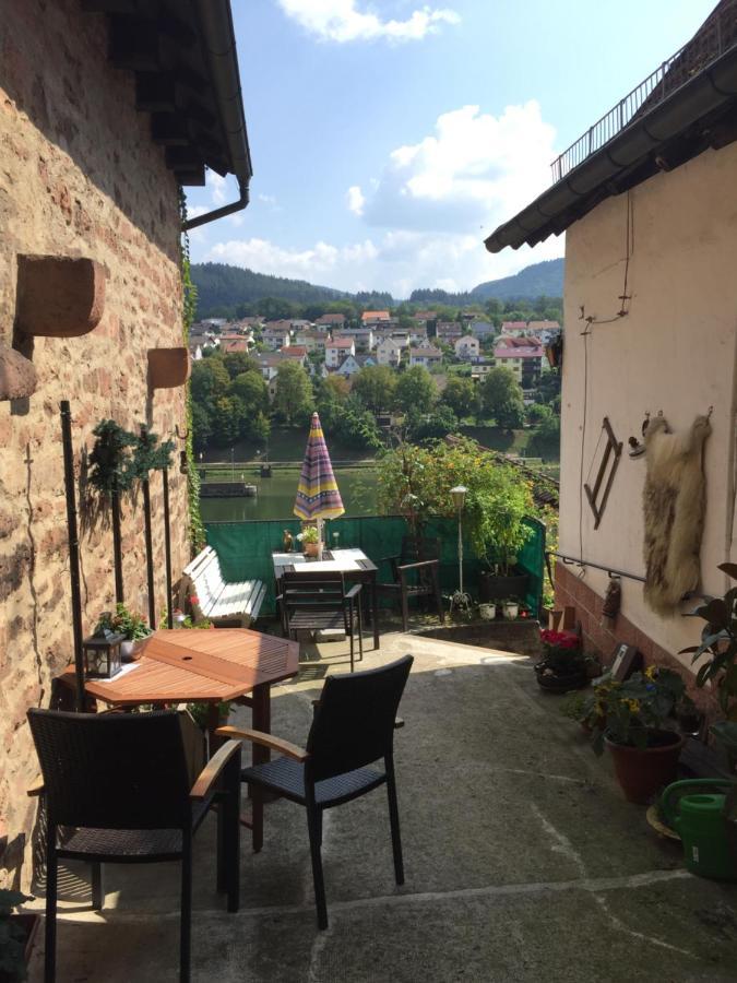 Neckarblick,Natur, Altstadt ヒルシュホルン エクステリア 写真