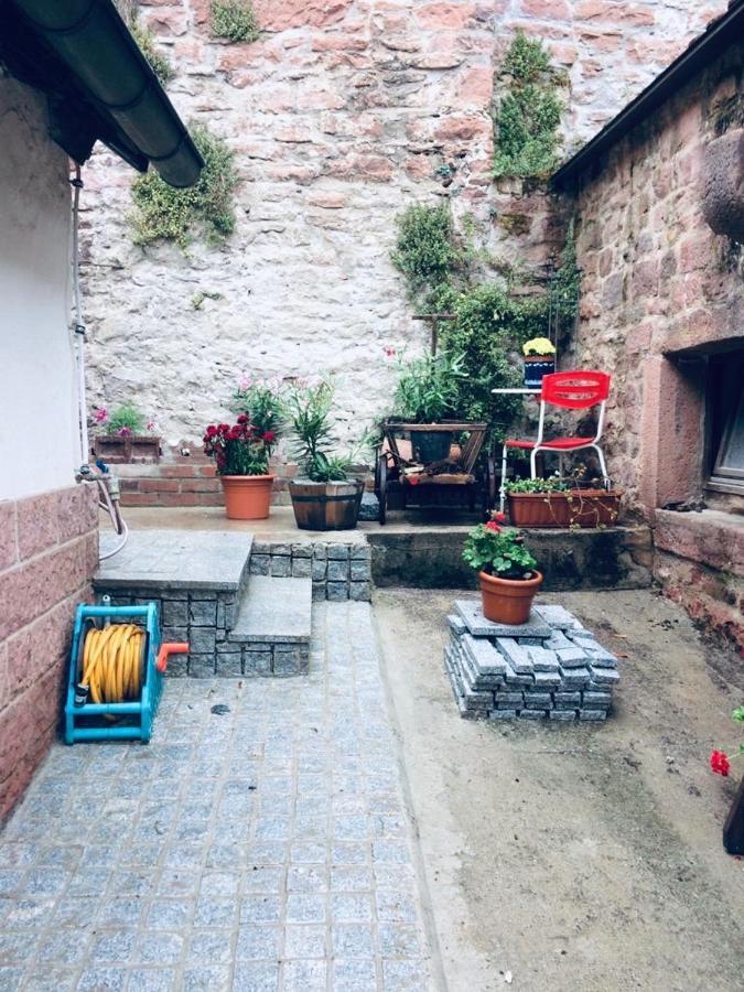 Neckarblick,Natur, Altstadt ヒルシュホルン エクステリア 写真