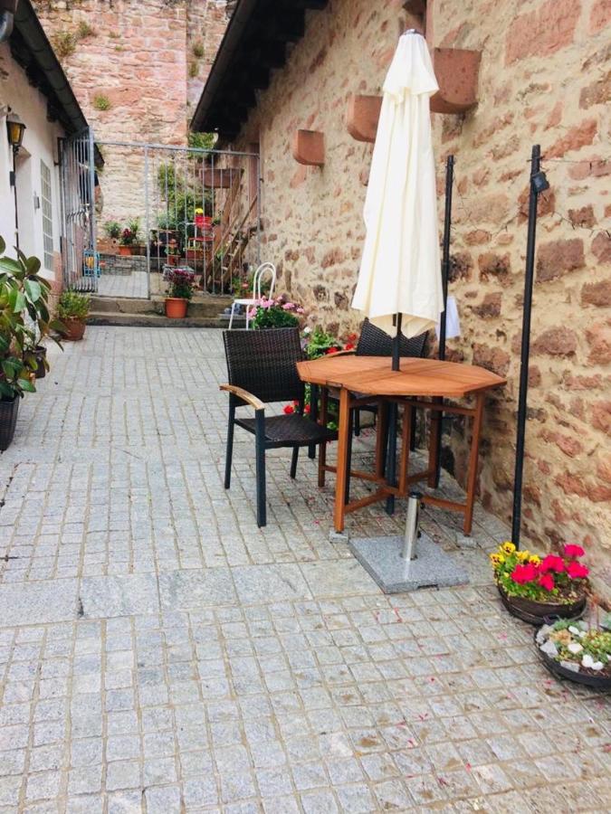 Neckarblick,Natur, Altstadt ヒルシュホルン エクステリア 写真
