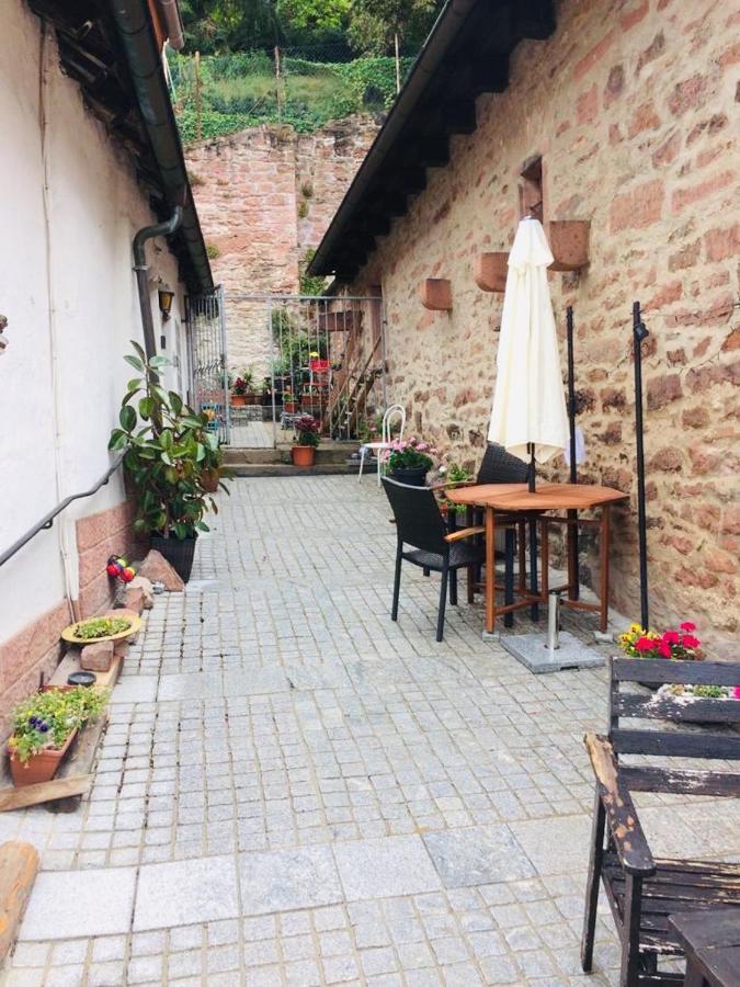 Neckarblick,Natur, Altstadt ヒルシュホルン エクステリア 写真
