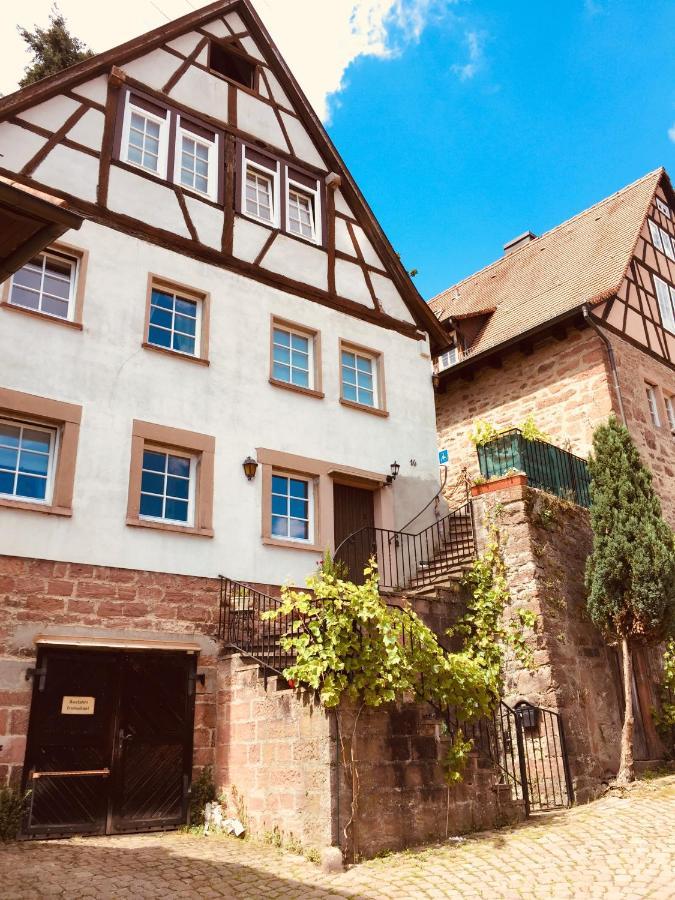 Neckarblick,Natur, Altstadt ヒルシュホルン エクステリア 写真