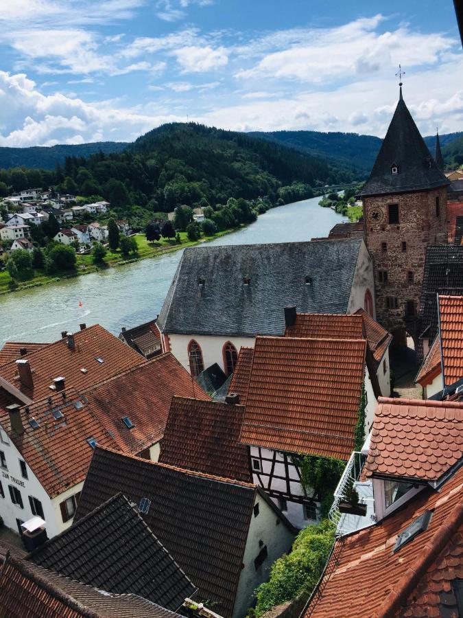 Neckarblick,Natur, Altstadt ヒルシュホルン エクステリア 写真
