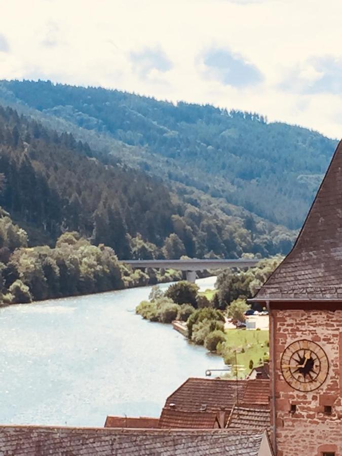 Neckarblick,Natur, Altstadt ヒルシュホルン エクステリア 写真