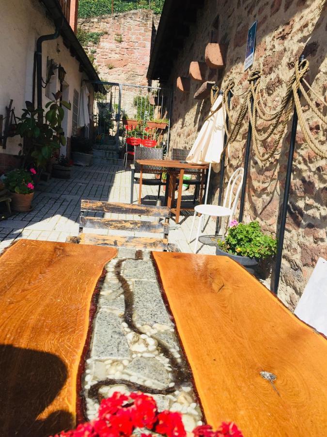 Neckarblick,Natur, Altstadt ヒルシュホルン エクステリア 写真