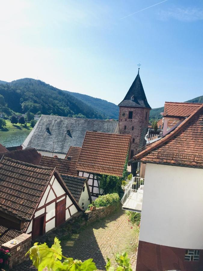 Neckarblick,Natur, Altstadt ヒルシュホルン エクステリア 写真