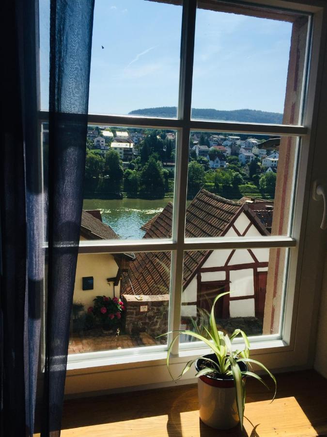 Neckarblick,Natur, Altstadt ヒルシュホルン エクステリア 写真