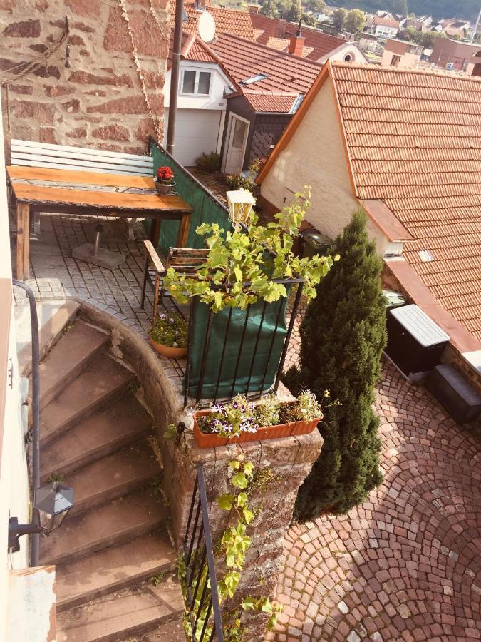 Neckarblick,Natur, Altstadt ヒルシュホルン エクステリア 写真