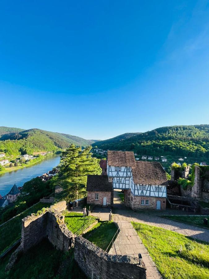 Neckarblick,Natur, Altstadt ヒルシュホルン エクステリア 写真