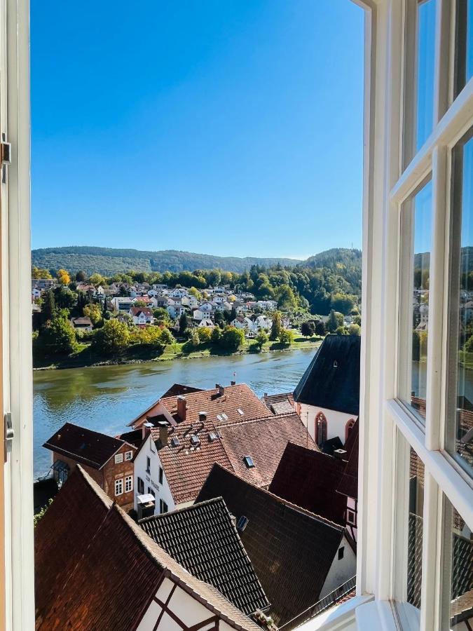 Neckarblick,Natur, Altstadt ヒルシュホルン エクステリア 写真