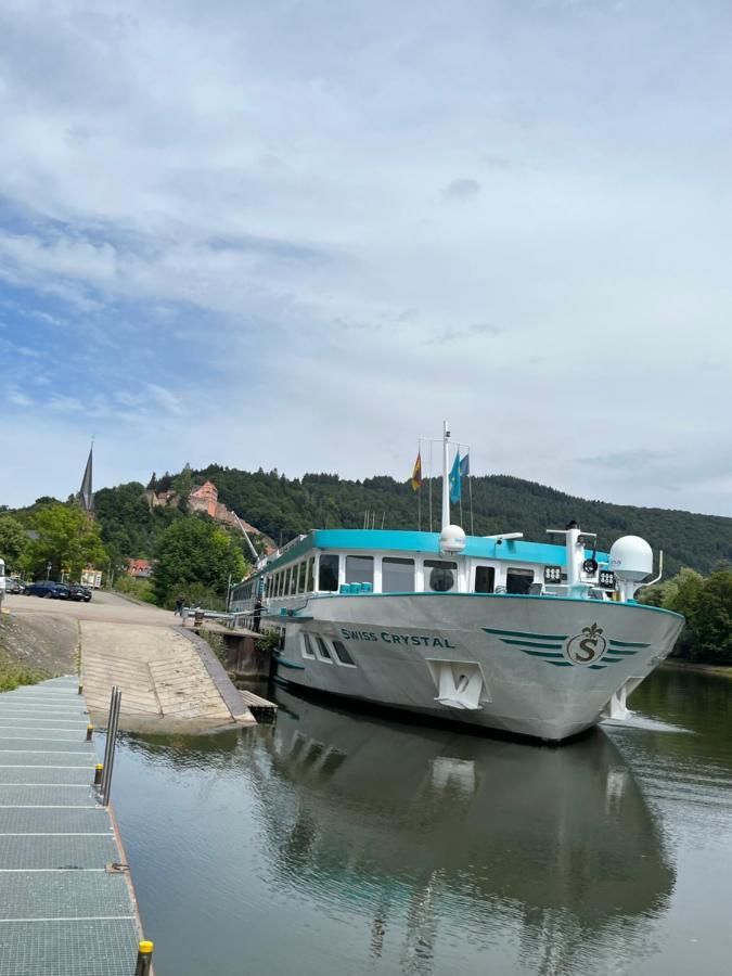 Neckarblick,Natur, Altstadt ヒルシュホルン エクステリア 写真