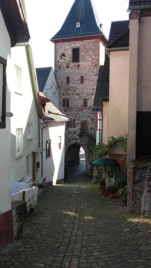 Neckarblick,Natur, Altstadt ヒルシュホルン エクステリア 写真