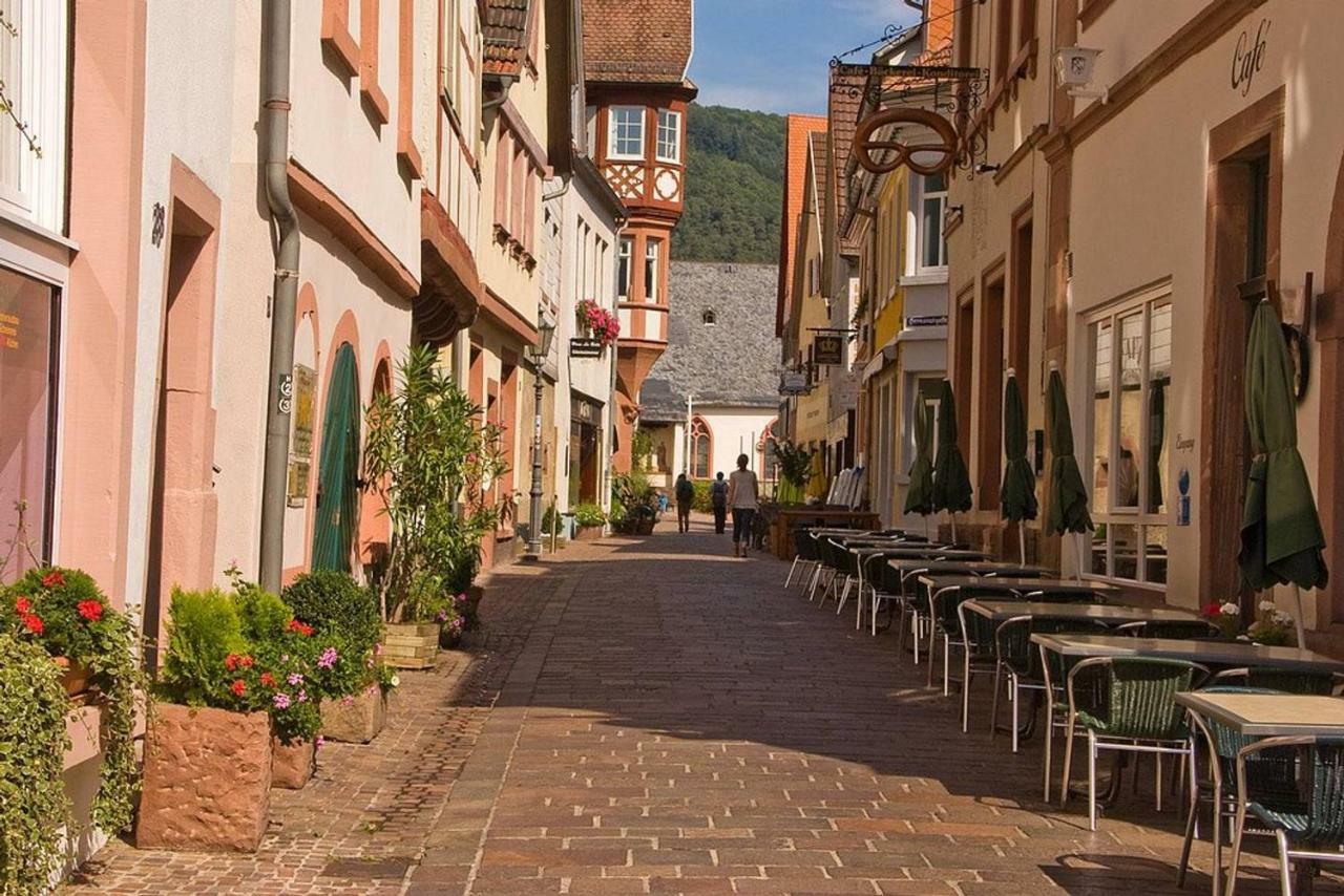 Neckarblick,Natur, Altstadt ヒルシュホルン エクステリア 写真