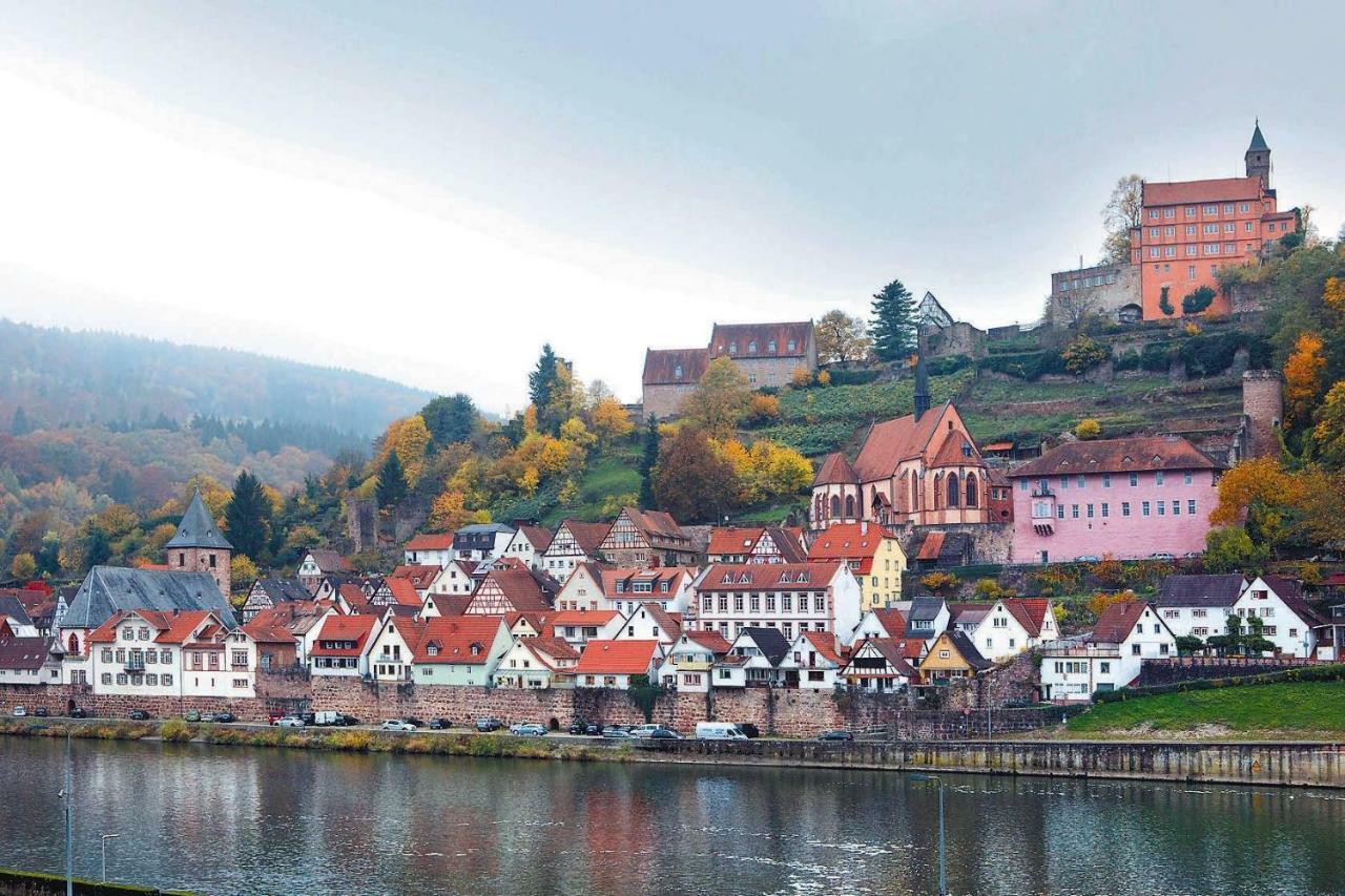 Neckarblick,Natur, Altstadt ヒルシュホルン エクステリア 写真