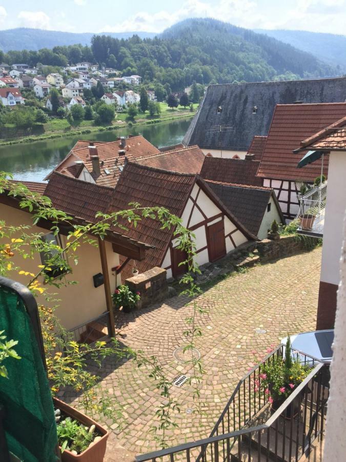 Neckarblick,Natur, Altstadt ヒルシュホルン エクステリア 写真