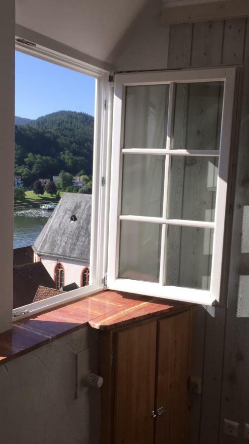 Neckarblick,Natur, Altstadt ヒルシュホルン エクステリア 写真